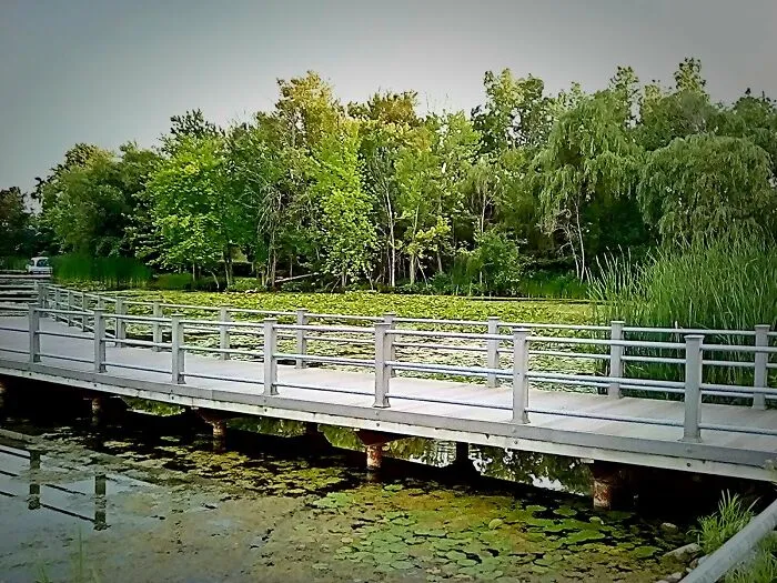 Fishing Spot