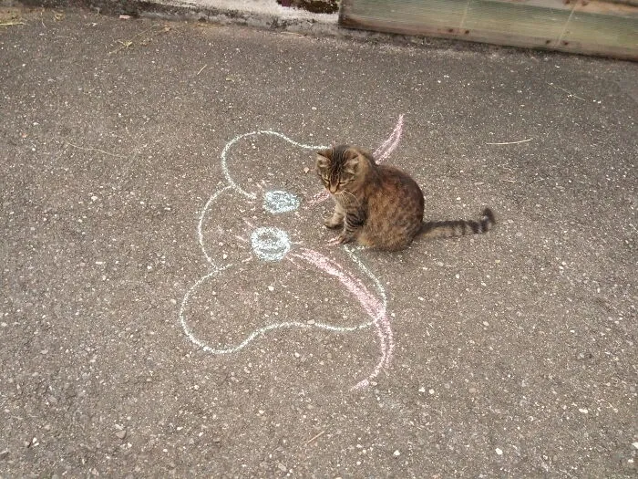 Tiger Painted An Elefant