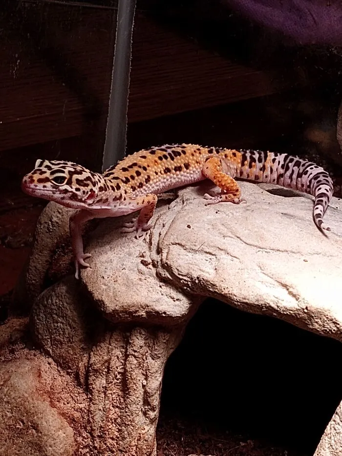 My Handsome Prince Eragon. I Feel Like He Rescued Me. I Love Him More Than Words Can Describe