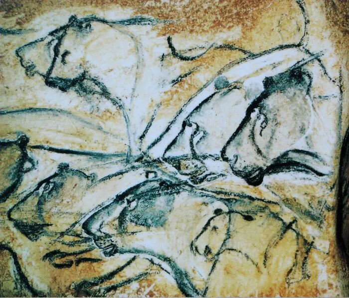 Chauvet Cave Paintings In France.  About 36000 Years Old