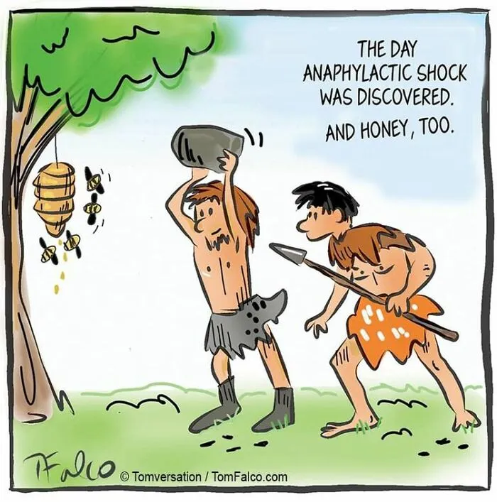 One-Panel Comics Filled With Absurd Situations And Silly Humor By Tomversation (30 New Pics)