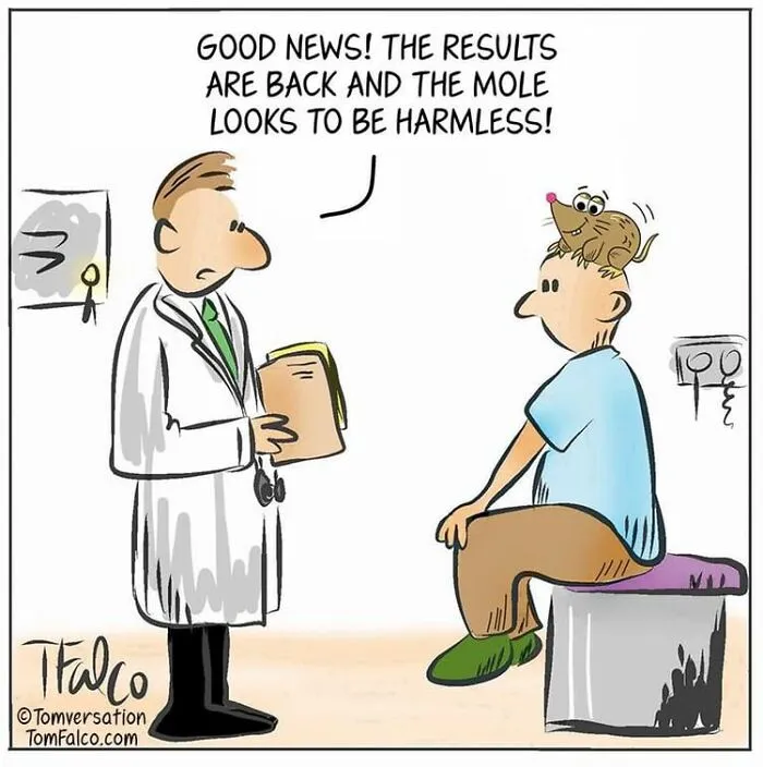 One-Panel Comics Filled With Absurd Situations And Silly Humor By Tomversation (30 New Pics)