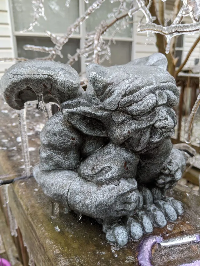 Results Of Tx Freeze.  It Was 85 Less Than A Week Later