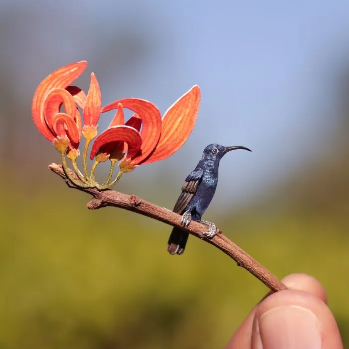 Purple Sunbird