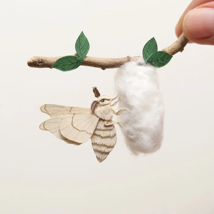 Silk Moth