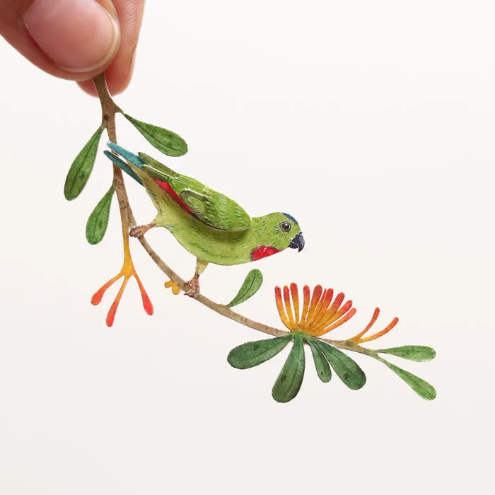 Blue Crowned Hanging Parrot