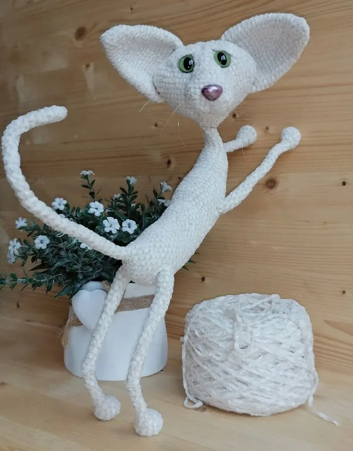White Oriental Cat