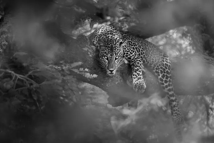 Sony National & Regional Photography Awards 2023 Have Announced Their Winners, And Here Are The Best 40 Photos