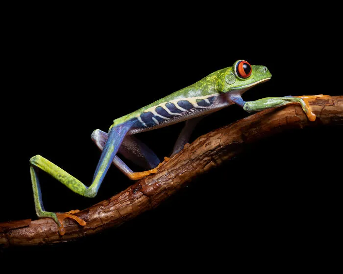 Sony National & Regional Photography Awards 2023 Have Announced Their Winners, And Here Are The Best 40 Photos