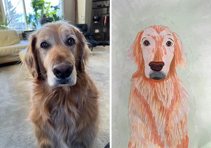 31 Hilarious Drawings Of People's Pets Made By The Staff And Volunteers Of This Animal Shelter
