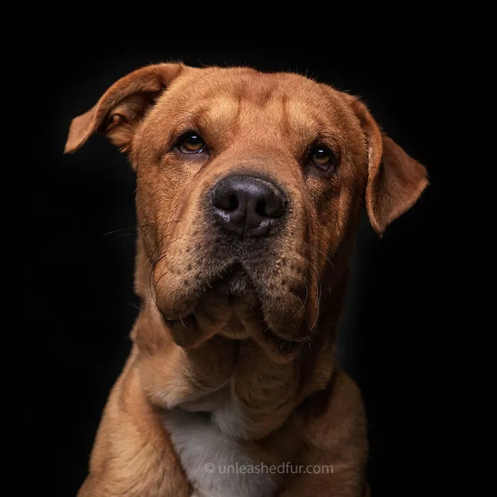 Rusty