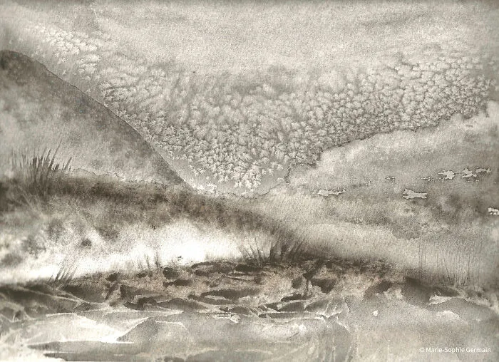 I Create Paintings With Charcoal And Salt And The Result Is Whimsical (18 Pics)