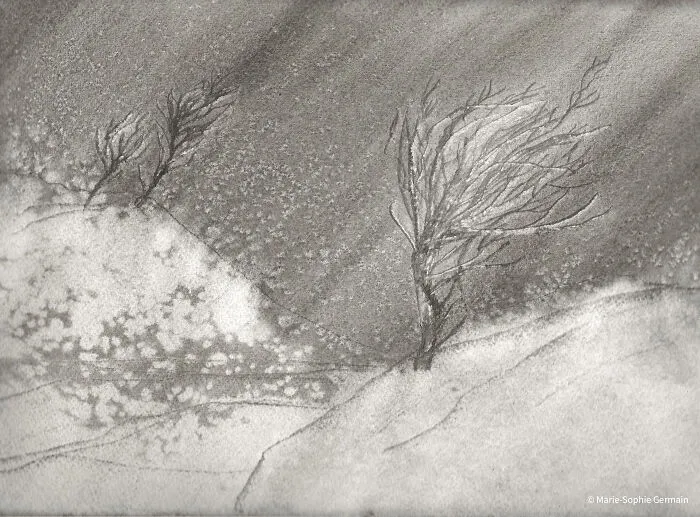I Create Paintings With Charcoal And Salt And The Result Is Whimsical (18 Pics)