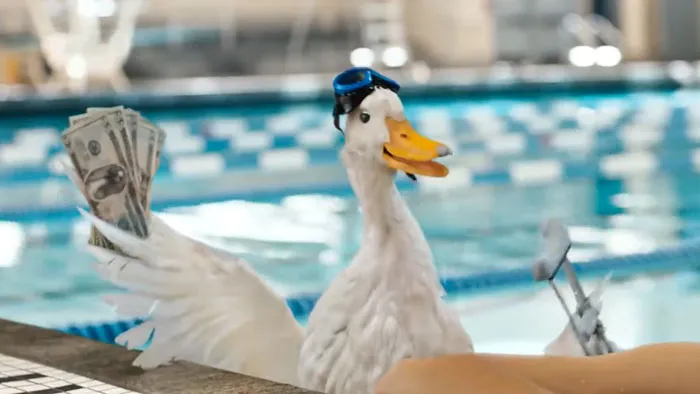 Aflac Duck By Aflac