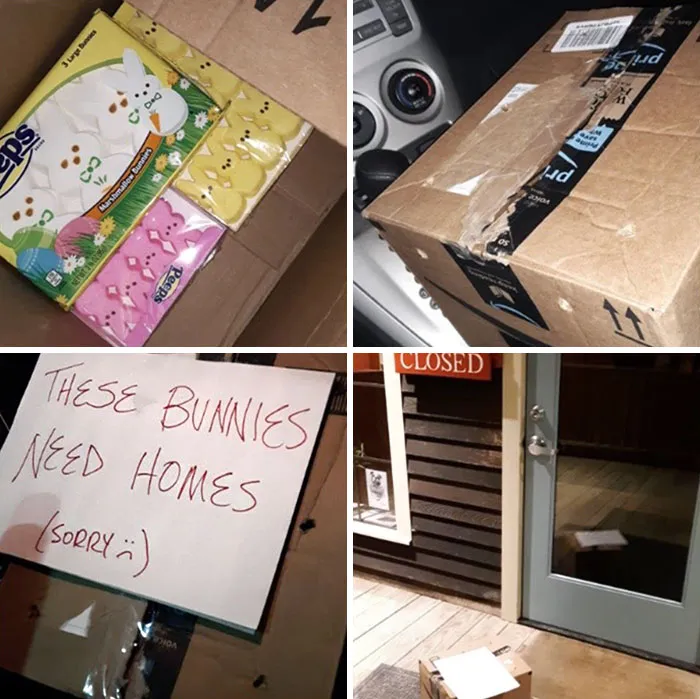 I Work At The Vet Hospital. I Left The Morning Crew A Little April Fools Surprise