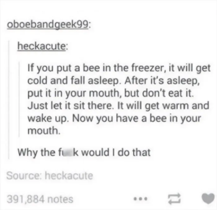 Bee