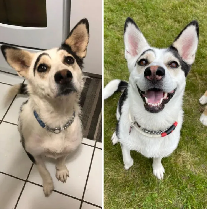 Day 1 vs. Day 365
