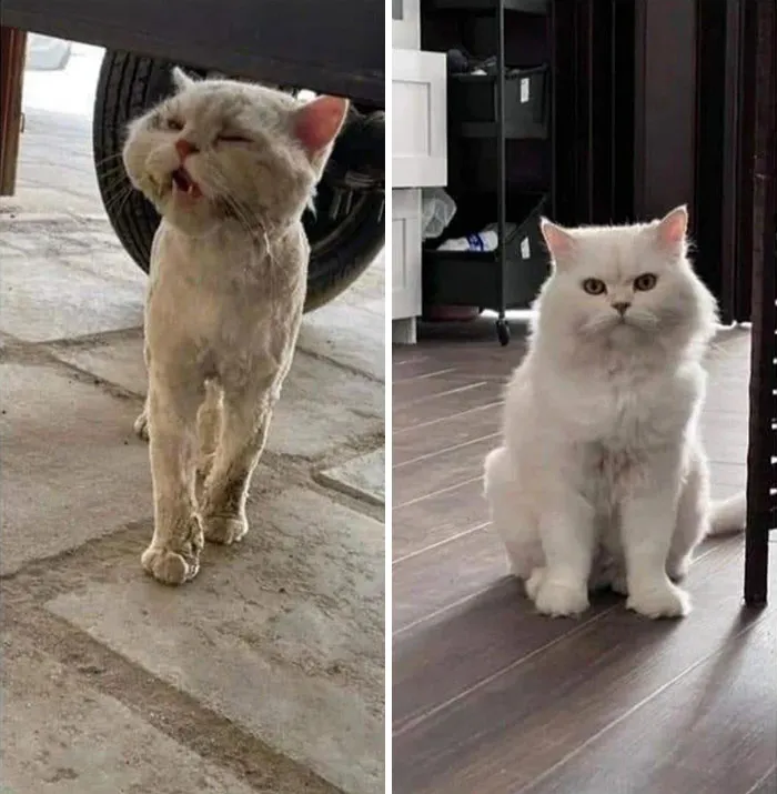 One Year Of Good Care And Love