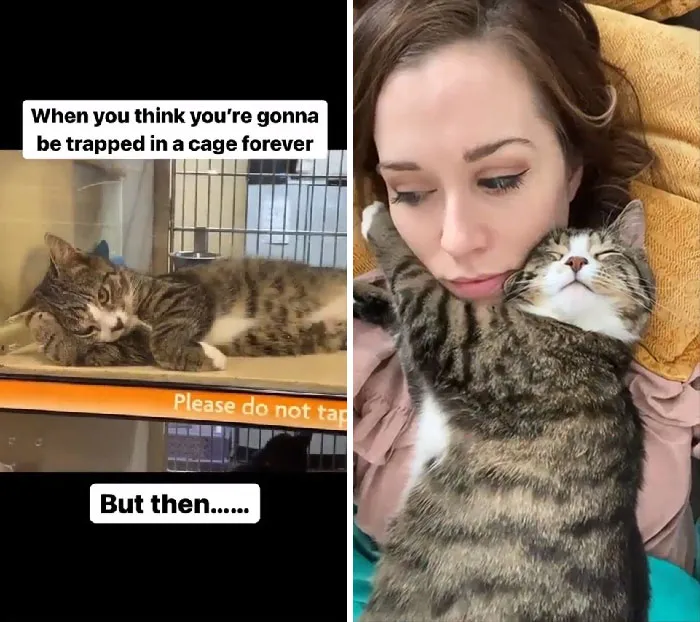 Second Chance