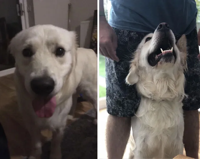 El día que nuestro chico llegó a casa y 365 días después