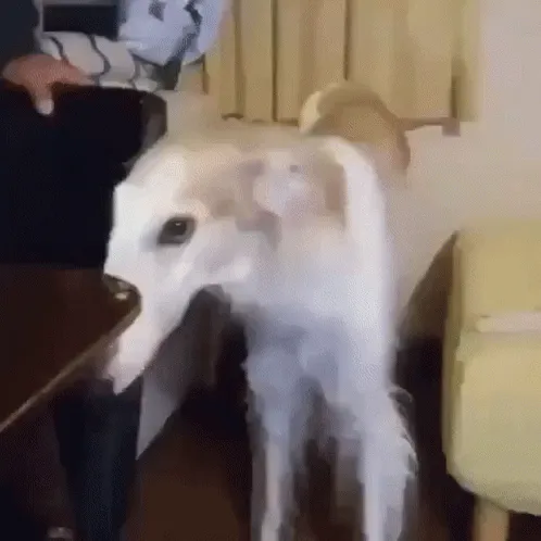 Long Bois Make Me Smile