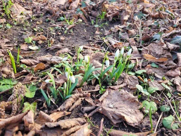 Spring Is Just Around The Corner