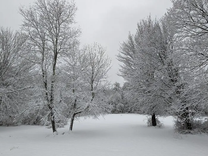 My Backyard In Massachusetts, Winter Wonderland!!!