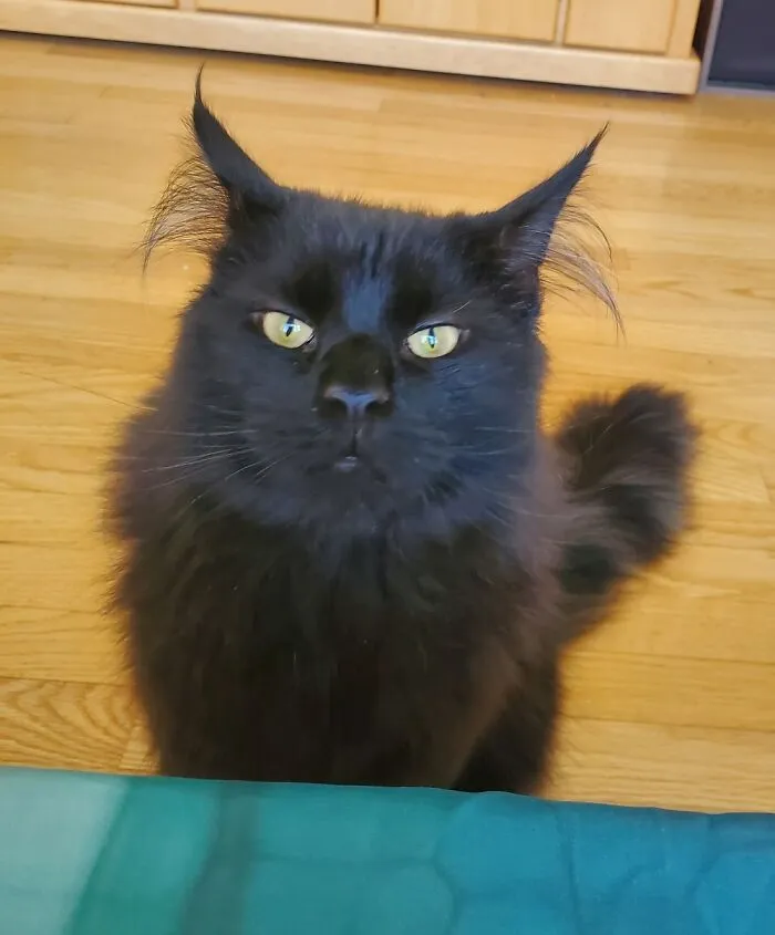 This Trouble Maker!