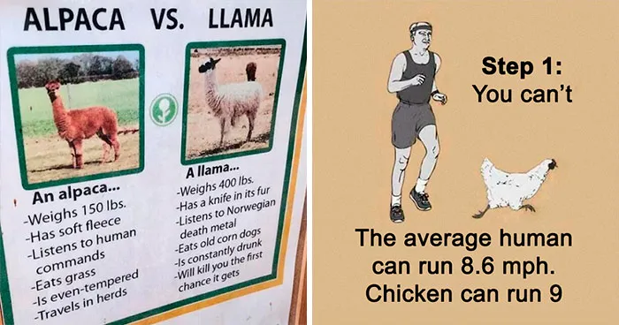 50 Funny And Satirical ‘Cool Guides’ People Shared On This Group That Contain Information They Don’t Teach At School