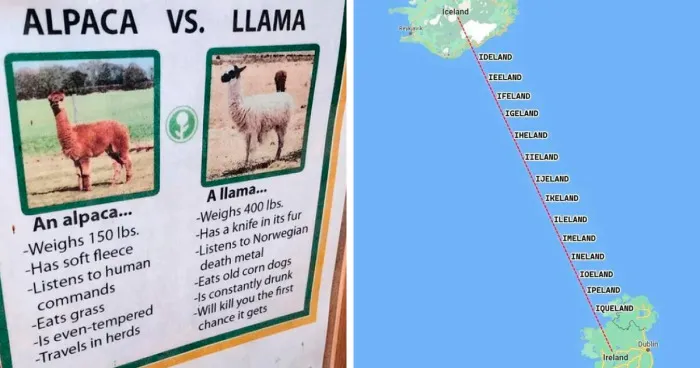 50 Funny And Satirical ‘Cool Guides’ People Shared On This Group That Contain Information They Don’t Teach At School