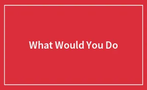 What Would You Do