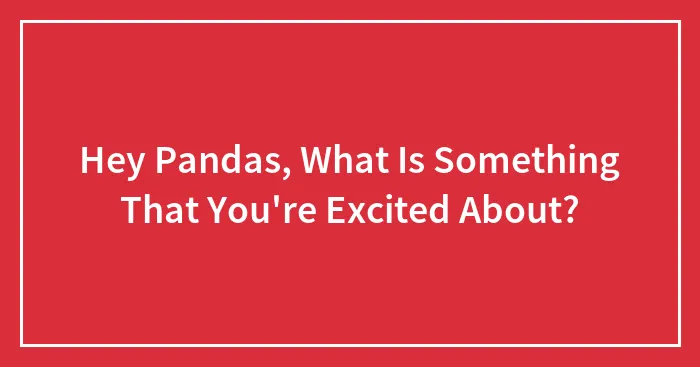 Hey Pandas, What Is Something That You're Excited About? (Closed)
