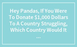 Hey Pandas, If You Were To Donate $1,000 Dollars To A Country Struggling, Which Country Would It Be And Why?