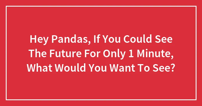 Hey Pandas, If You Could See The Future For Only 1 Minute, What Would You Want To See? (Closed)