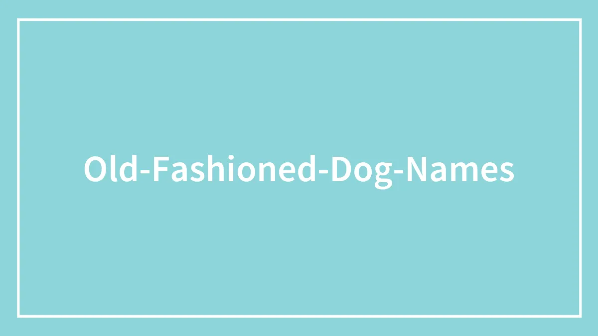 80 Old-Fashioned Dog Names Around The World, As Shared By People In This Online Thread