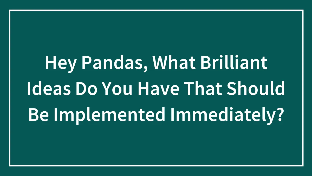 Hey Pandas, What Brilliant Ideas Do You Have That Should Be Implemented Immediately?