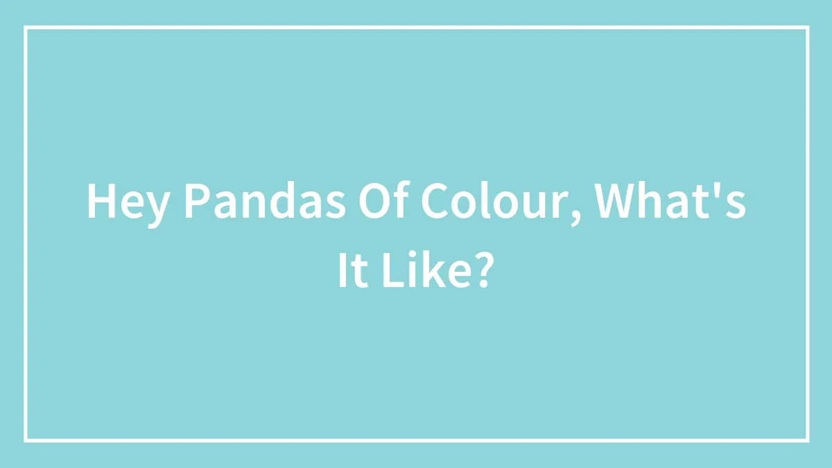 Hey Pandas Of Colour, What's It Like?