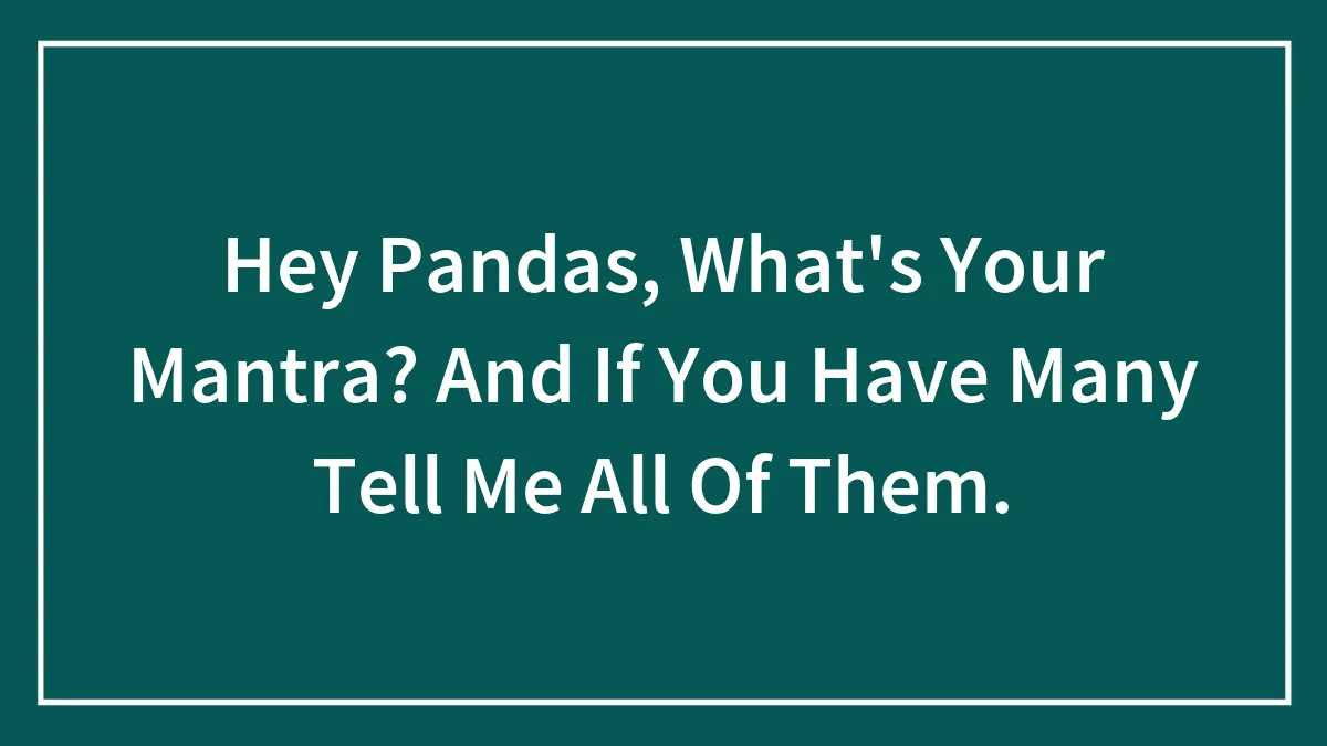 Hey Pandas, What's Your Mantra? And If You Have Many Tell Me All Of Them.
