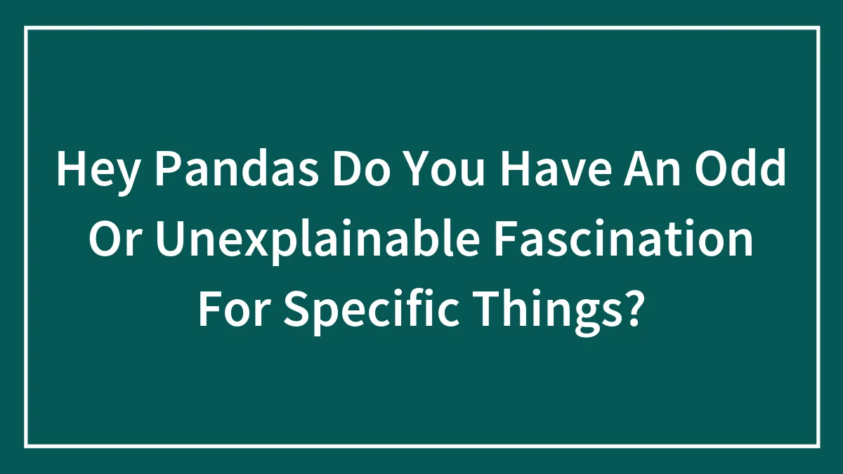Hey Pandas Do You Have An Odd Or Unexplainable Fascination For Specific Things?