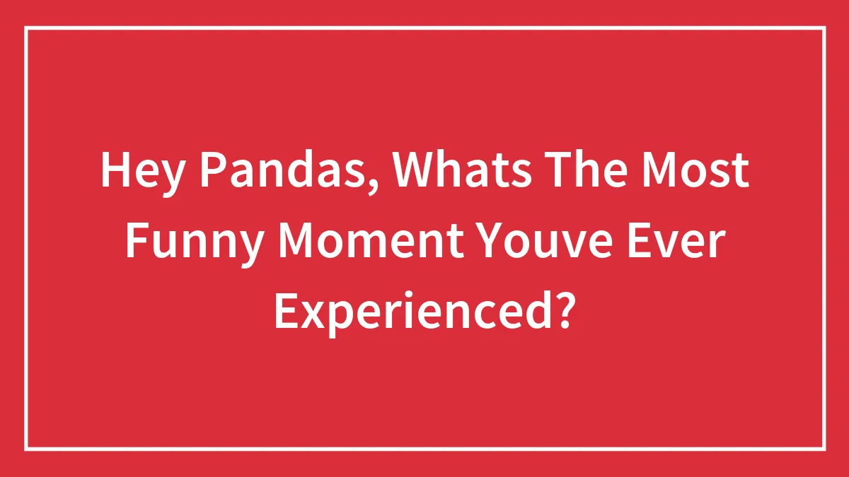 Hey Pandas, Whats The Most Funny Moment Youve Ever Experienced?