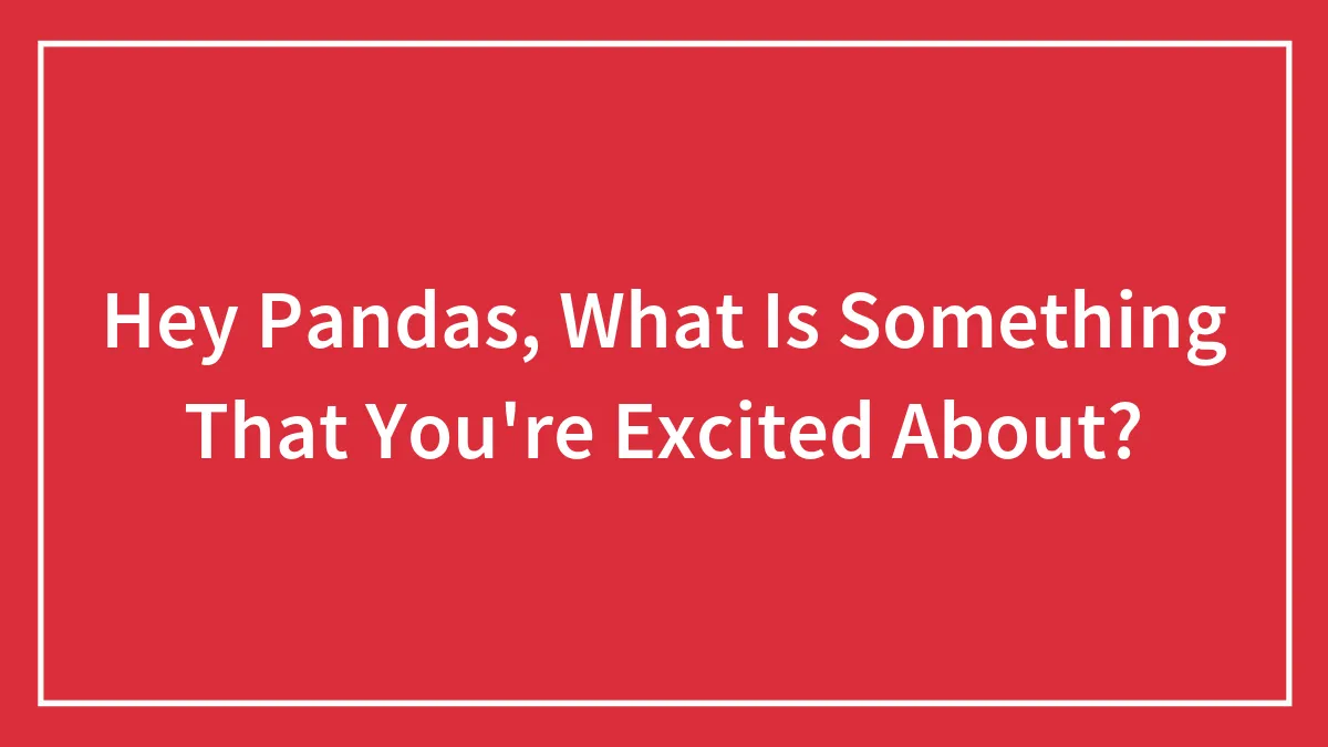 Hey Pandas, What Is Something That You're Excited About? (Closed)