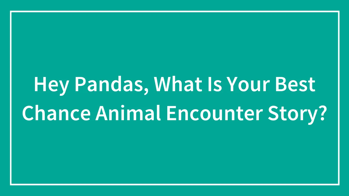 Hey Pandas, What Is Your Best Chance Animal Encounter Story? (Closed)