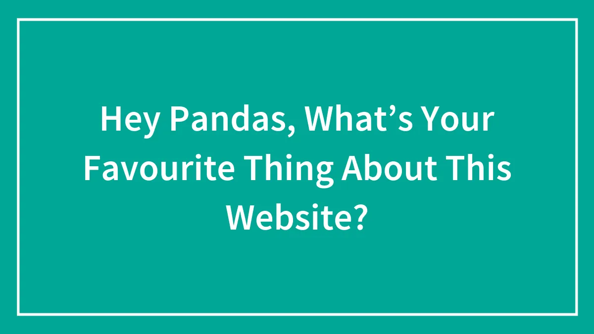 Hey Pandas, What’s Your Favourite Thing About This Website?