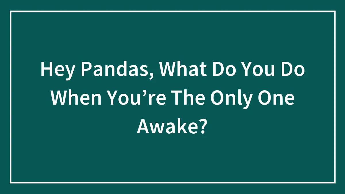 Hey Pandas, What Do You Do When You’re The Only One Awake? (Closed)