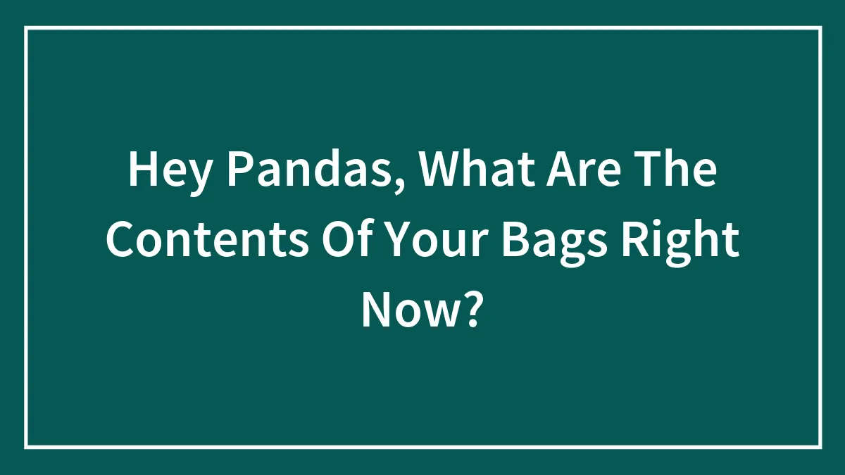 Hey Pandas, What Are The Contents Of Your Bags Right Now? (Closed)