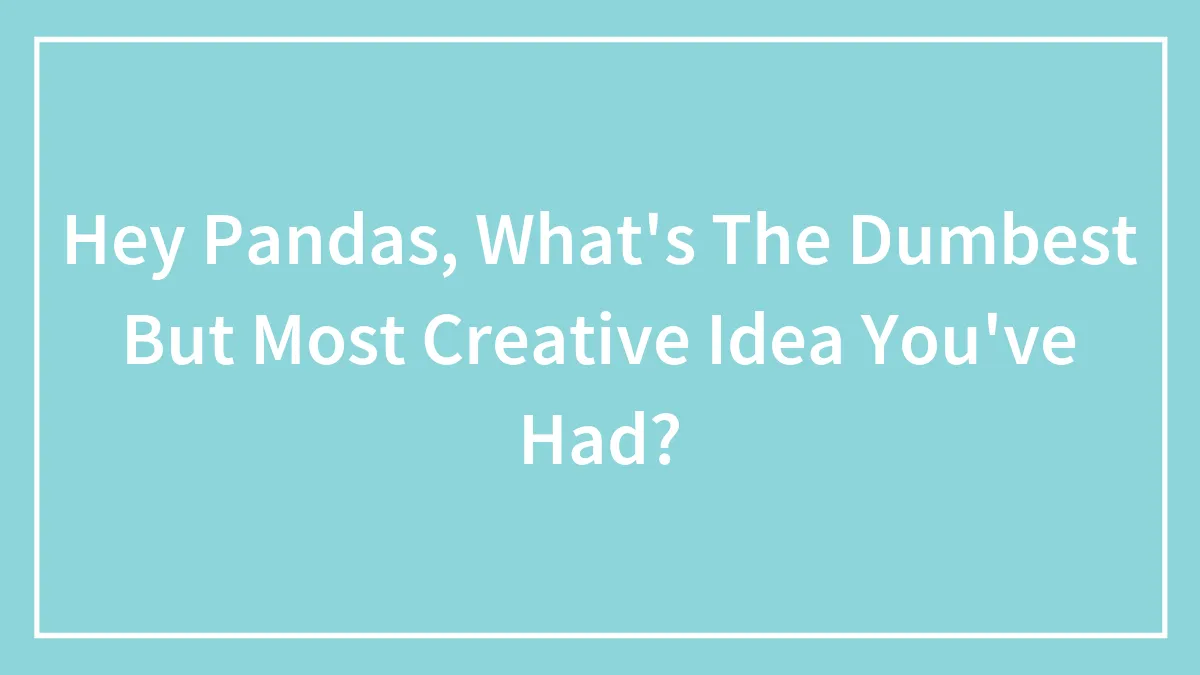 Hey Pandas, What's The Dumbest But Most Creative Idea You've Had?