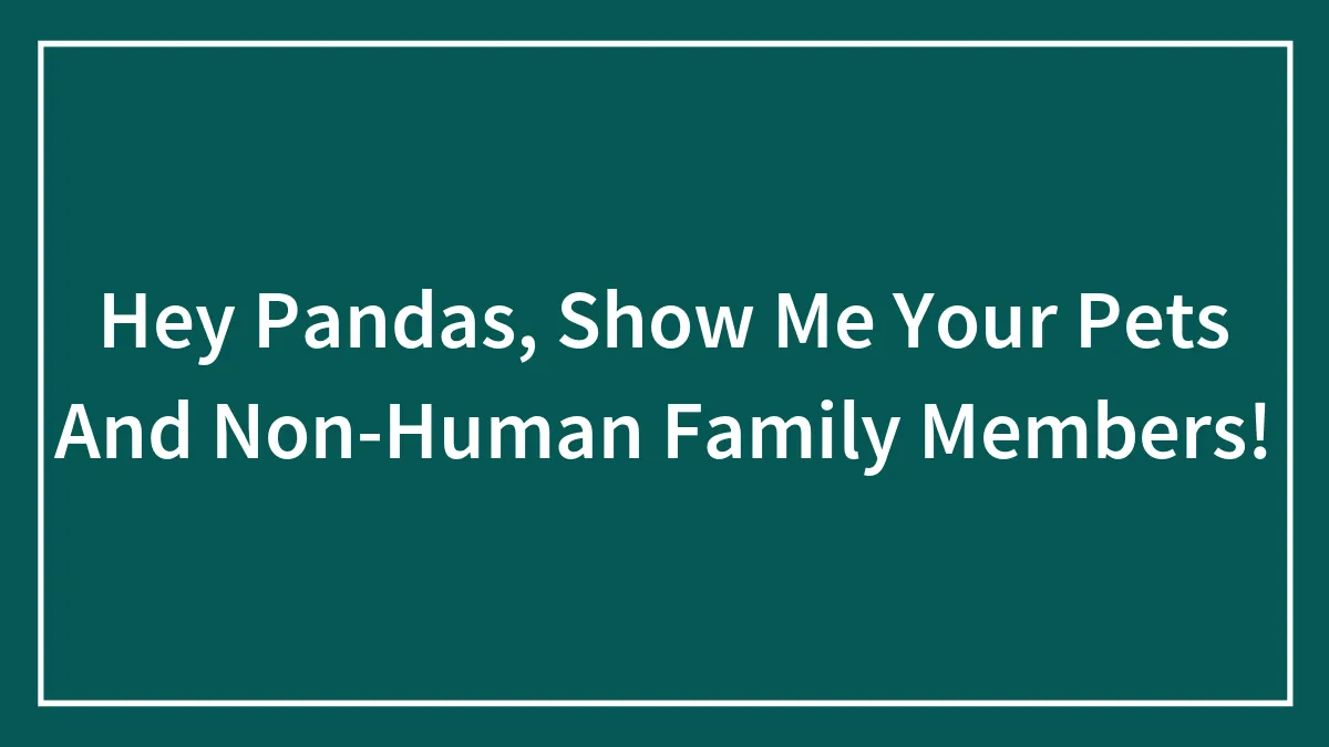 Hey Pandas, Show Me Your Pets And Non-Human Family Members!