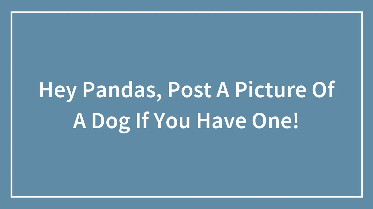 Hey Pandas, Post A Picture Of A Dog If You Have One!