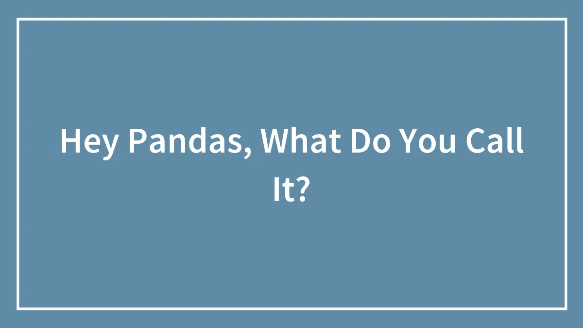 Hey Pandas, What Do You Call It?