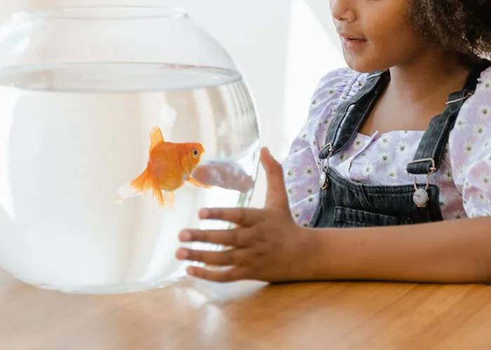 30 Teachers Reveal The Wildest Reasons They’ve Sent A Student To The Principal’s Office